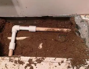 忻府测漏水哪家好